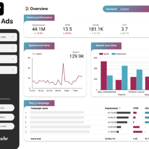 TikTok Ads Performance Data Studio dashboard template