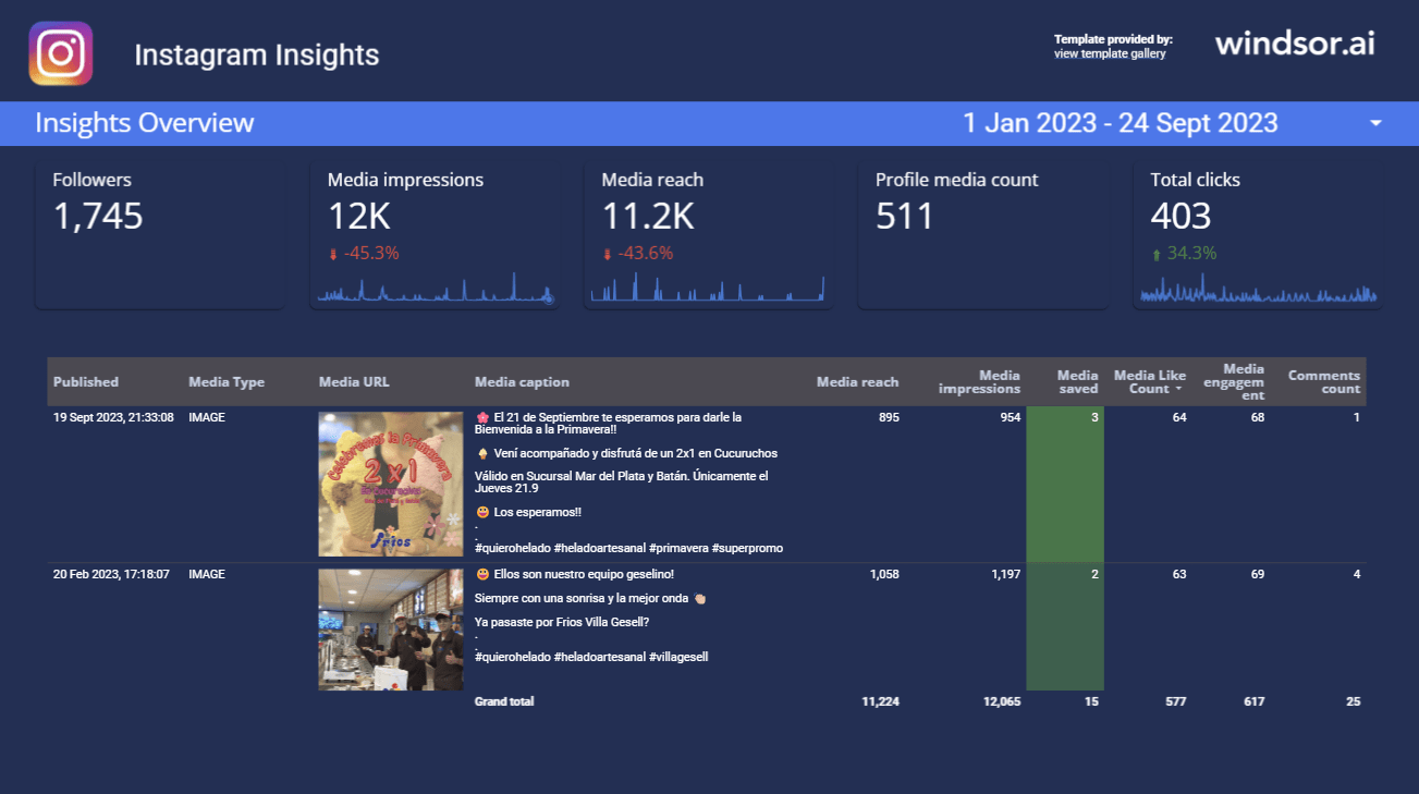 The Data Studio Instagram Insights Overview Report — a Data Studio dashboard by Windsor.ai