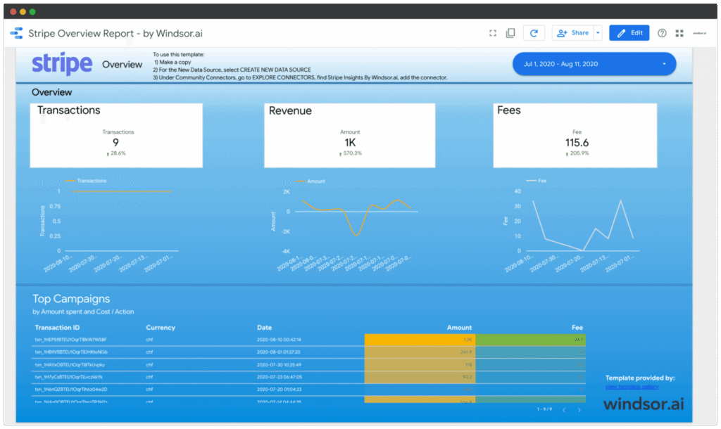 Data Studio Stripe Overview Report — Data Studio template preview