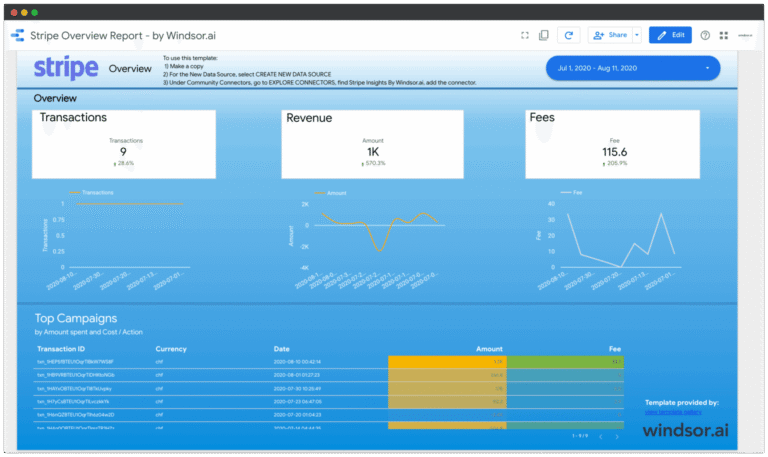 Data Studio Stripe Overview Report