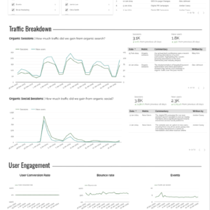 Expert Commentary Annotations for GA4 Data Studio template